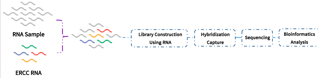 Ext-RNA Control Panel workflow