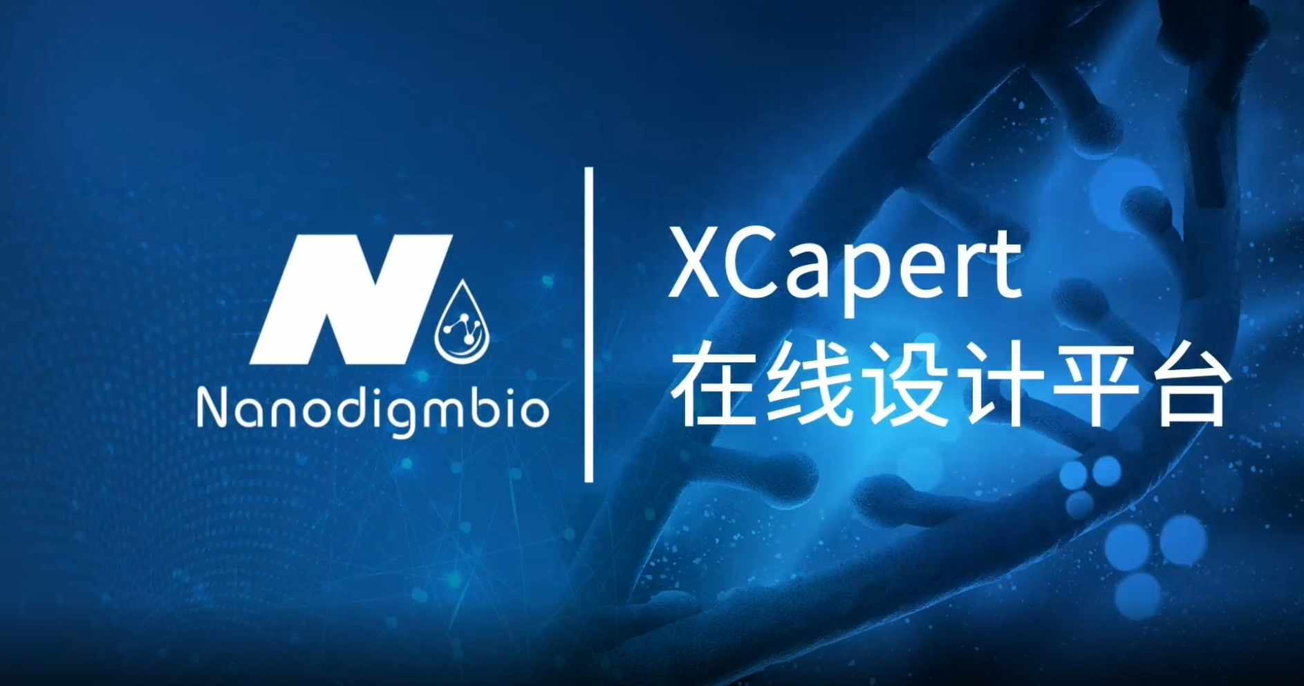 XCapert Online Design Platform